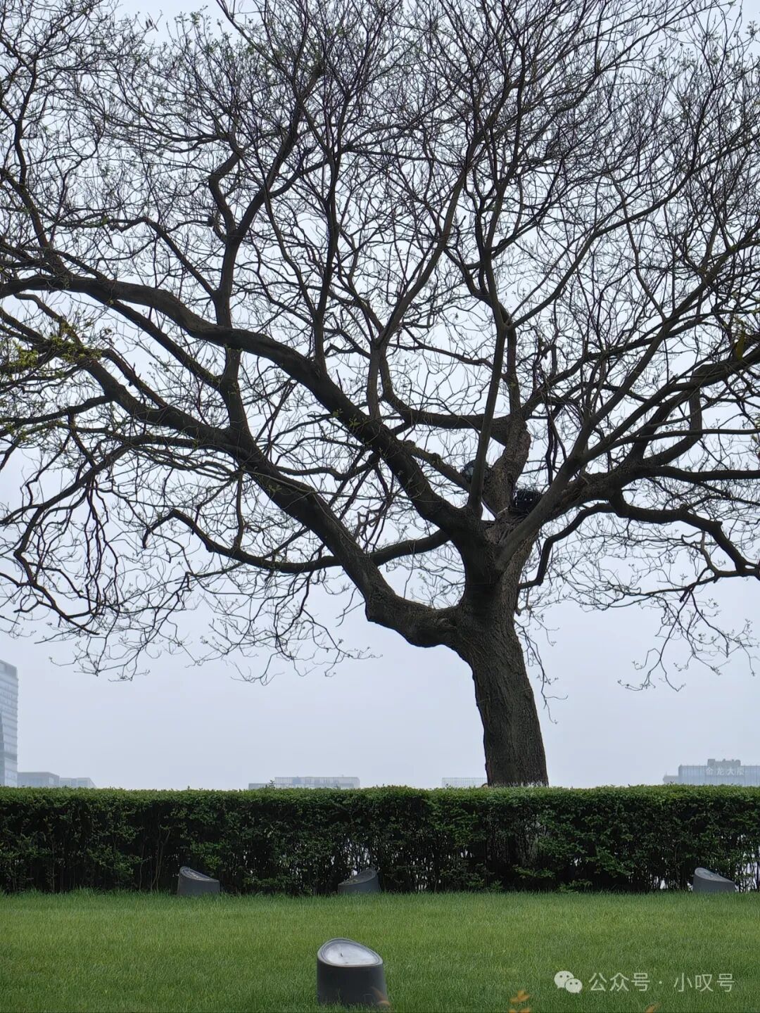 掉头发很非常，不用太担心，7个方法搞定脱发（一）