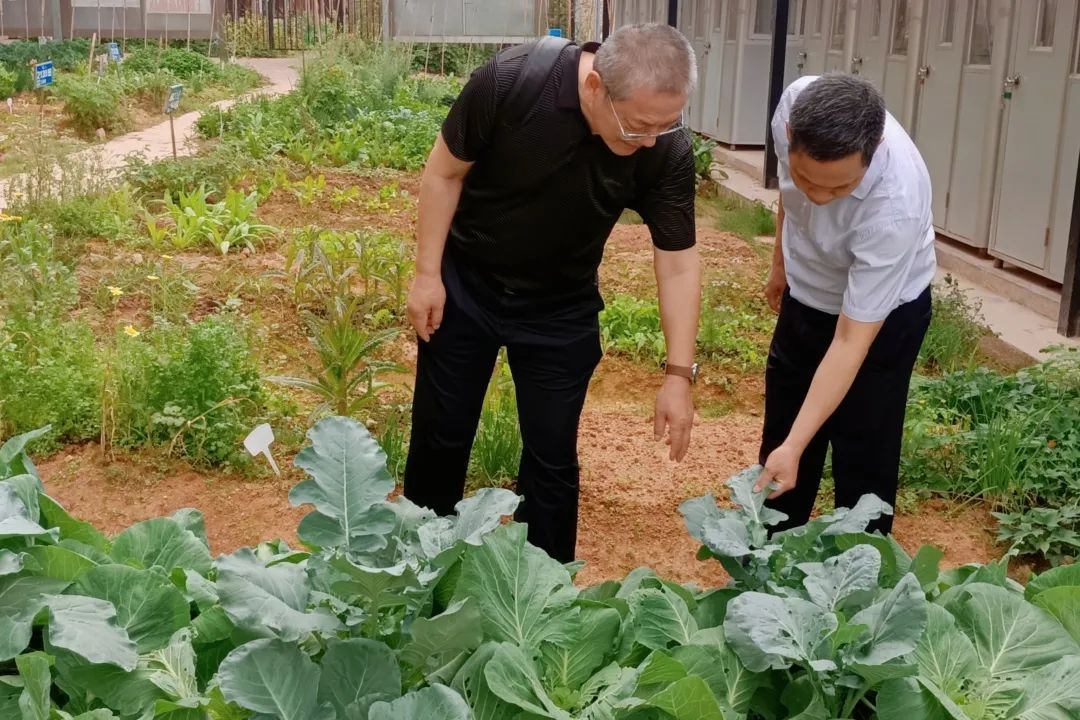 创建新优质学校经验介绍_优质校建设工作总结_提炼优质校项目建设经验