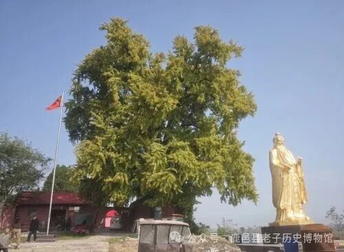 微信图片_20261031080615_15_12_副本.jpg