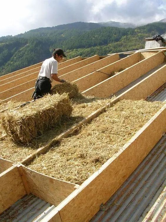 這什麼隔熱奇葩招數？朋友囤塑膠瓶要往屋頂鋪，室內溫度能降10℃ 家居 第4張