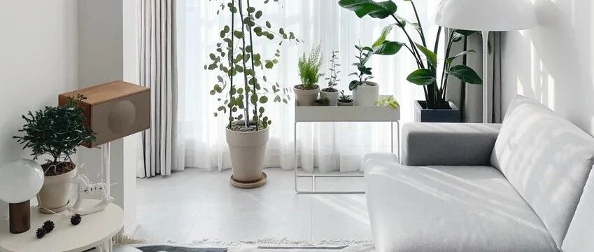 女编辑独居57㎡小屋，舍弃阳台和电视墙，完工效果越住越宽敞