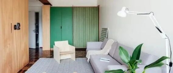 史上最小户型：29㎡小房，客餐厨卫卧一样不少，采光还棒，神了