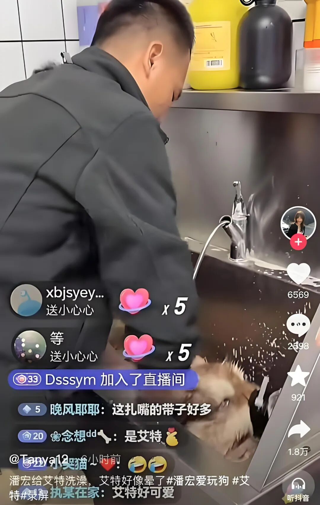 “训狗一哥”潘宏又出事，要求主人签“百万赔偿合同”，这事你站谁？