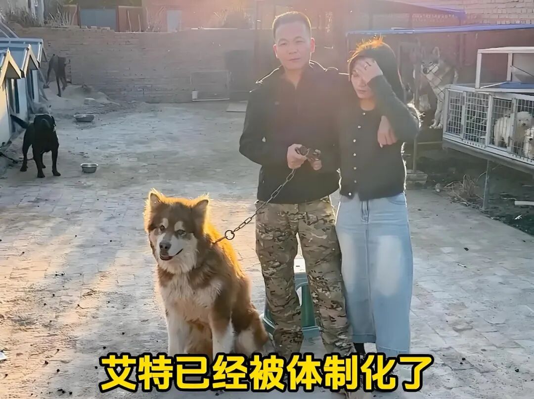 “训狗一哥”潘宏又出事，要求主人签“百万赔偿合同”，这事你站谁？