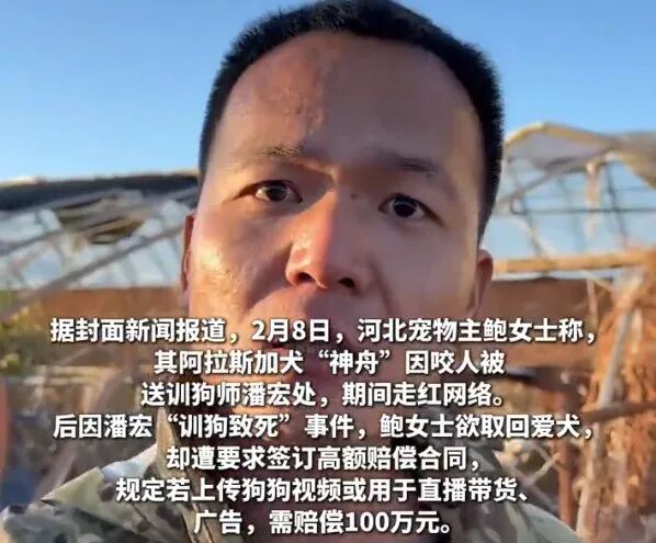 “训狗一哥”潘宏又出事，要求主人签“百万赔偿合同”，这事你站谁？