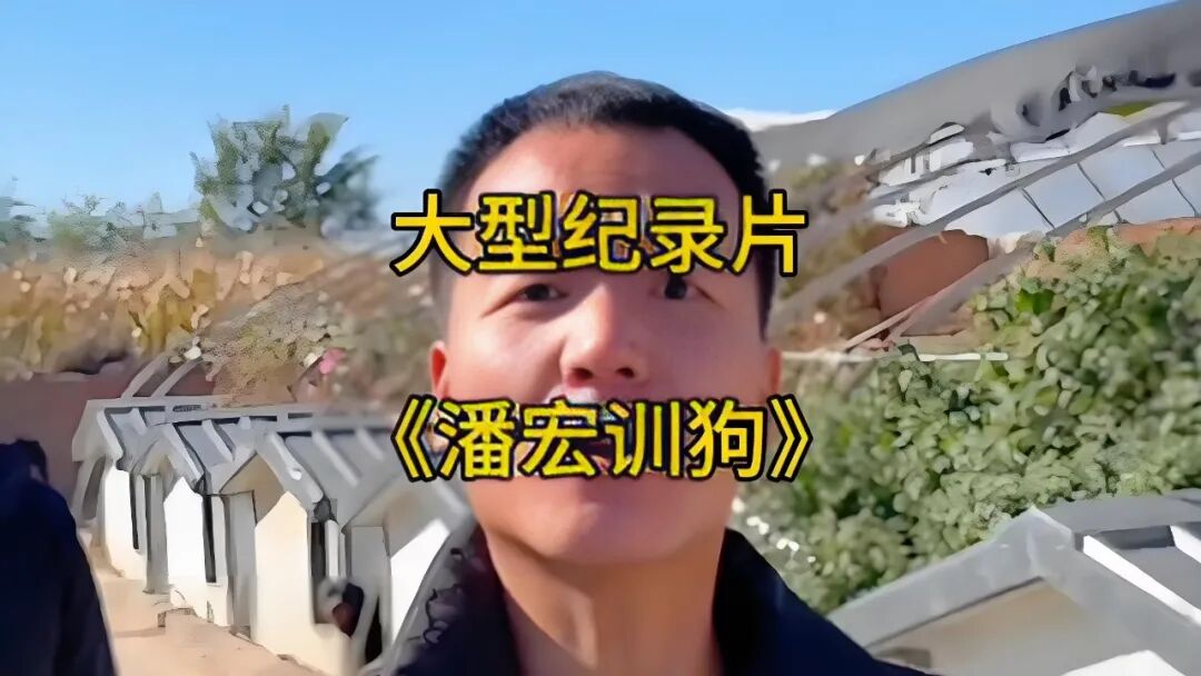 “训狗一哥”潘宏又出事，要求主人签“百万赔偿合同”，这事你站谁？