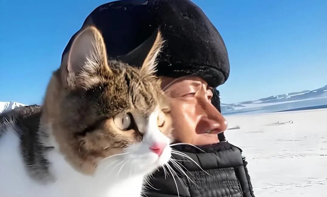 网红小猫悟空疑因中毒去世，博主赵朔曝光细节，疑点重重！可以不爱，但请不要加害！