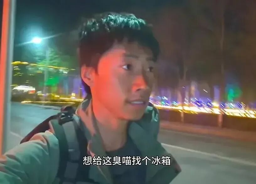 网红小猫悟空疑因中毒去世，博主赵朔曝光细节，疑点重重！可以不爱，但请不要加害！