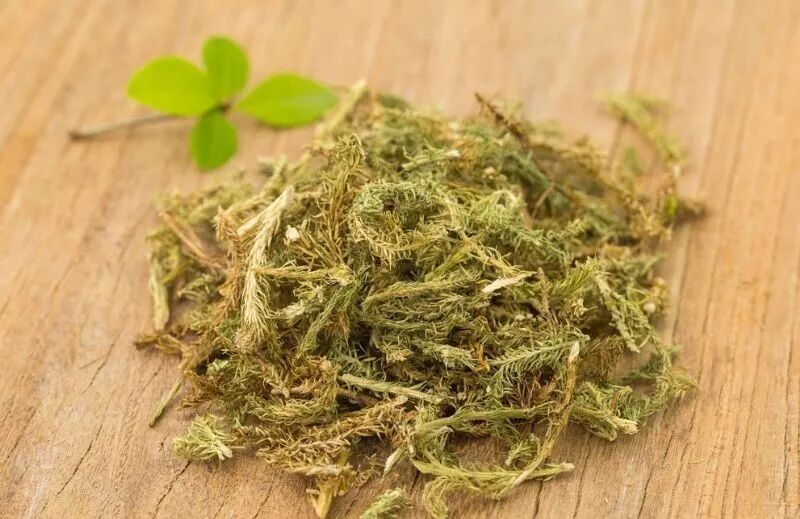 一个伸展筋脉的方子，能除僵，除麻，除拘挛