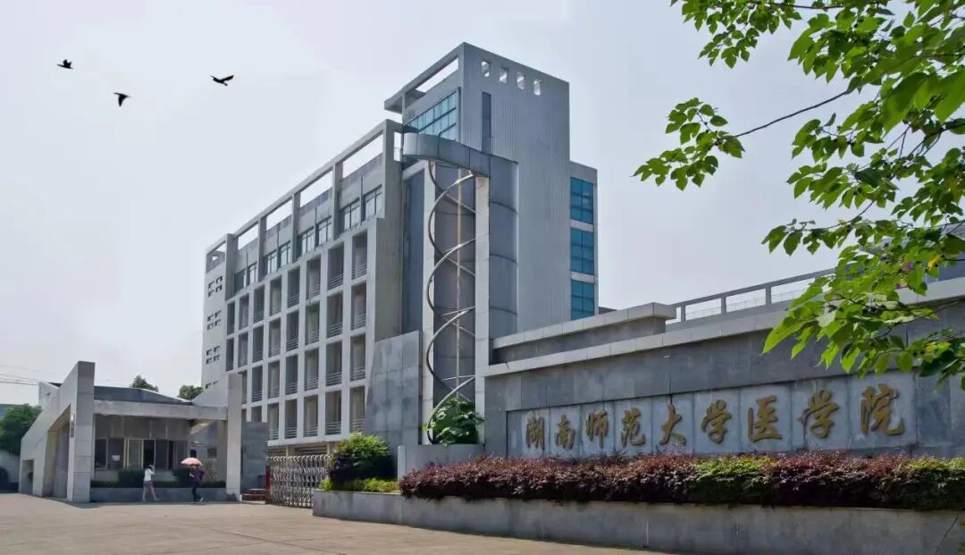 湖南师范大学医学院2024年招生报考指南及招生录取分数线