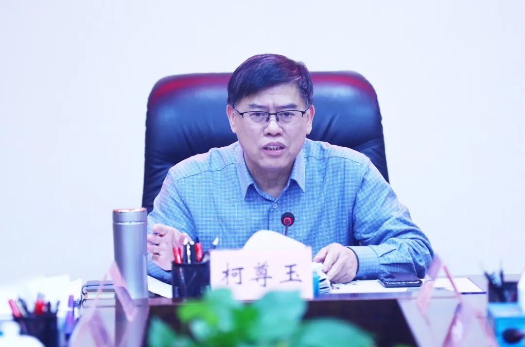 区领导杨龙兴,梅勇,骆凯波,徐翔,卢燕,陈