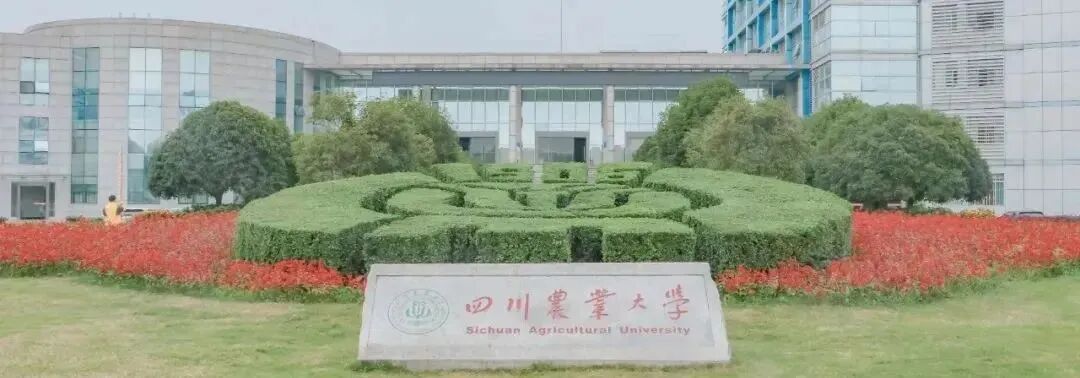 查分在即！四川8所“双一流”高校招生信息来了插图14