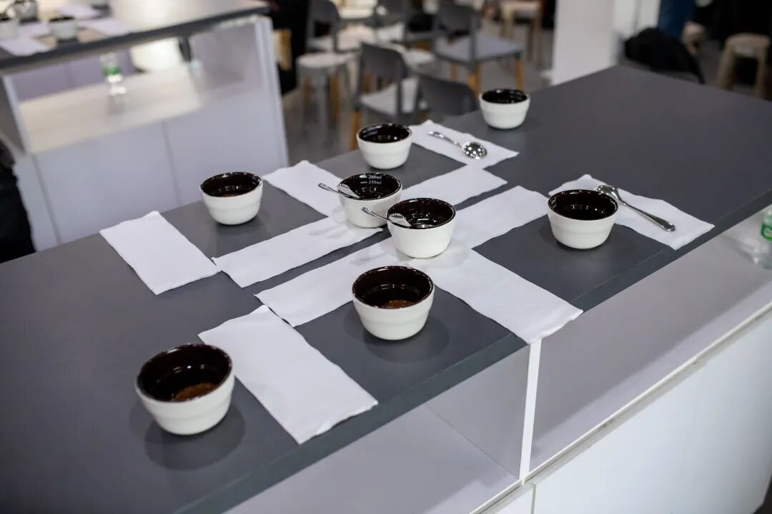 _MG_8167.JPG