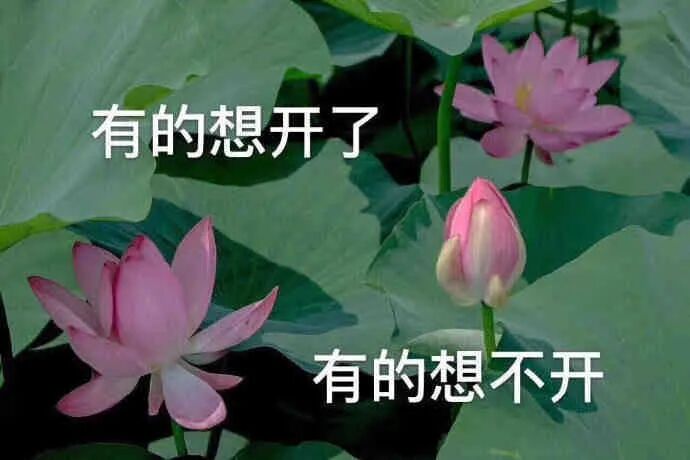 【时尚】倪妮没有眉毛的样子，就像四千年没了垫肩。（组图） - 8