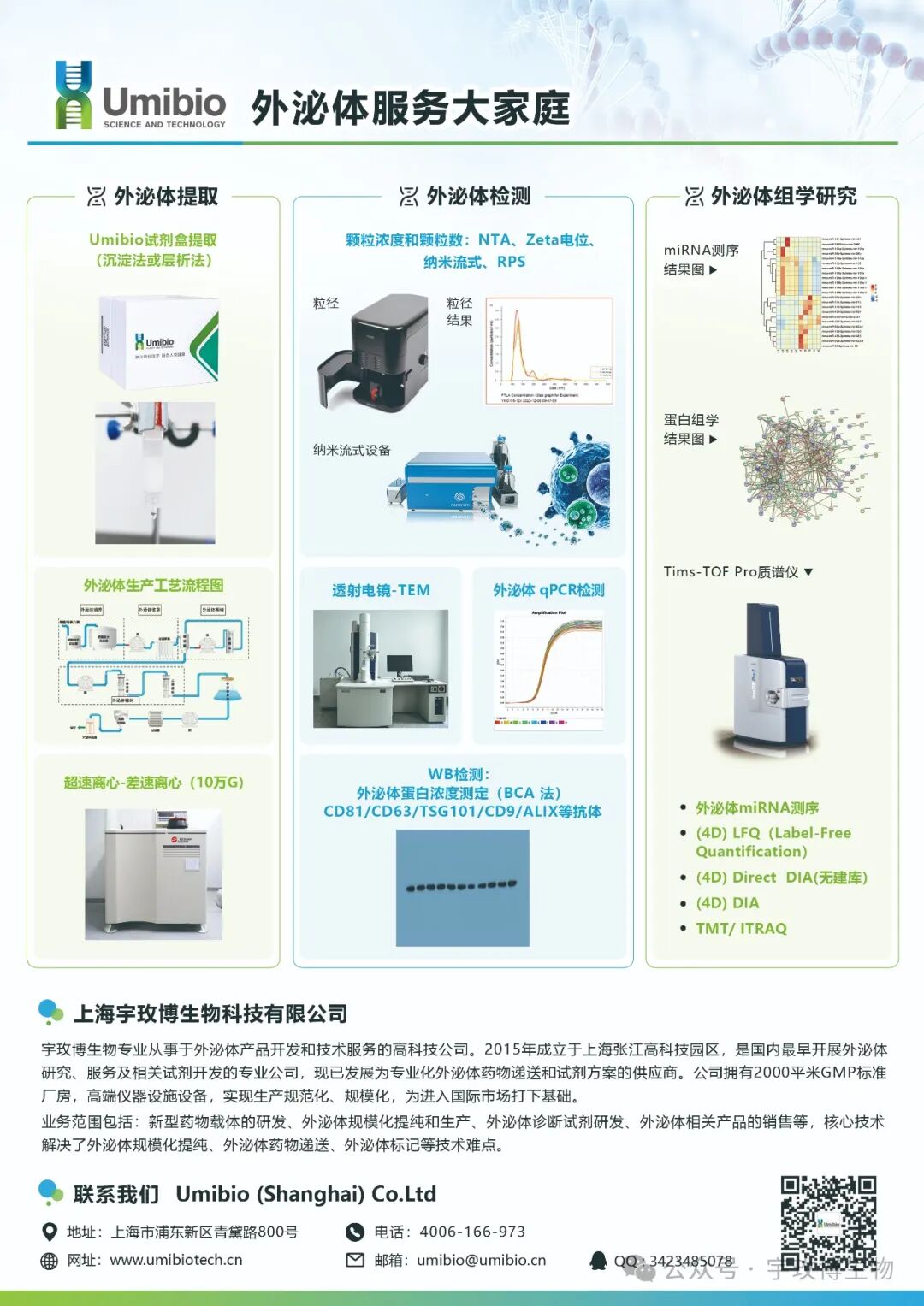 Adv Sci∣周祥团队合作揭示通过工程化外泌体诱导肿瘤细胞核仁应激的分子机制与策略_上海宇玫博生物科技有限公司