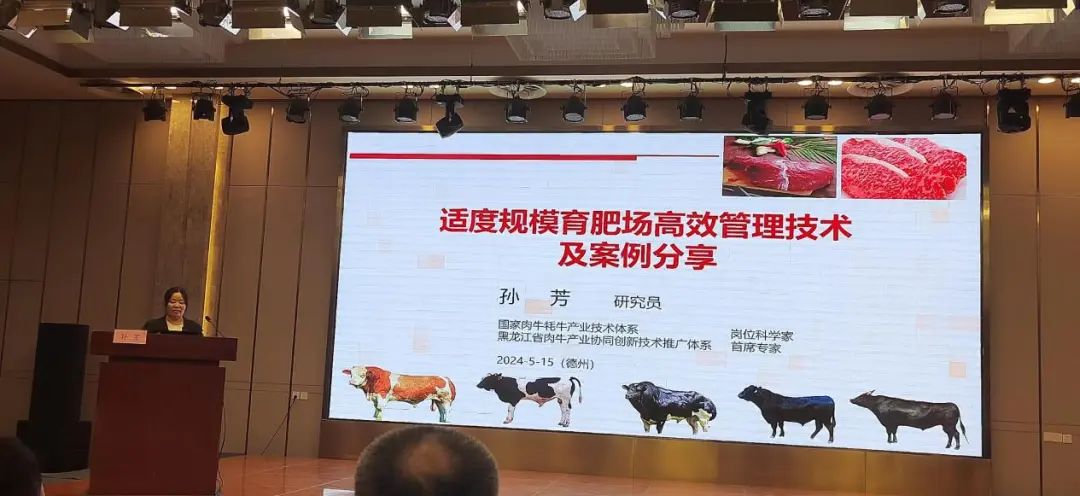 黑龙江省肉牛产业技术协同创新推广体系赴中原农区参加肉牛产业高效