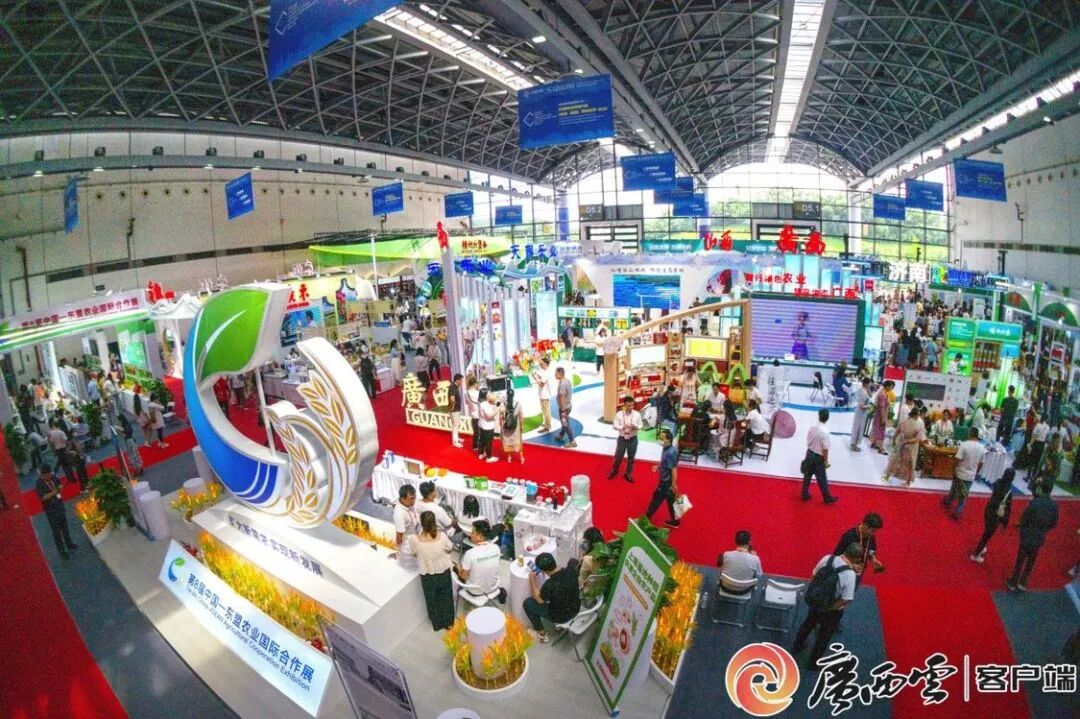 x光机怎么拍照好玩、好吃、好拍照、好洽谈……东博会逛展攻略→_https://www.jmylbn.com_新闻资讯_第15张