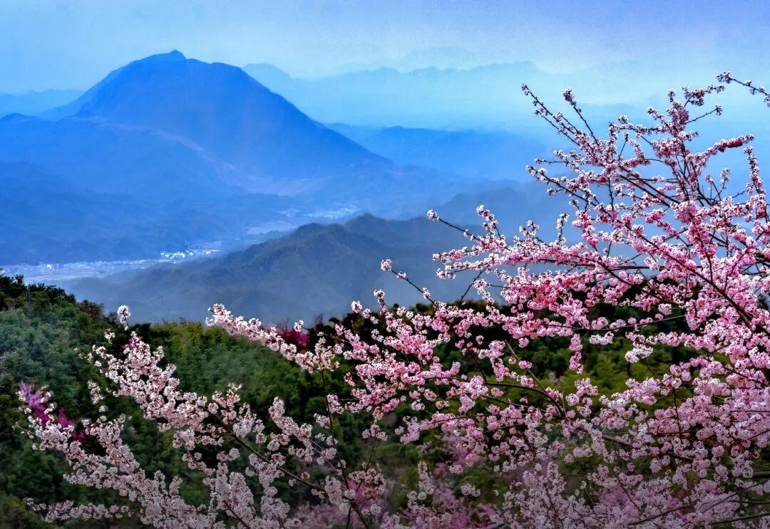 目揽千重春意闹，一川秀色醉山涯。张强 摄.jpg