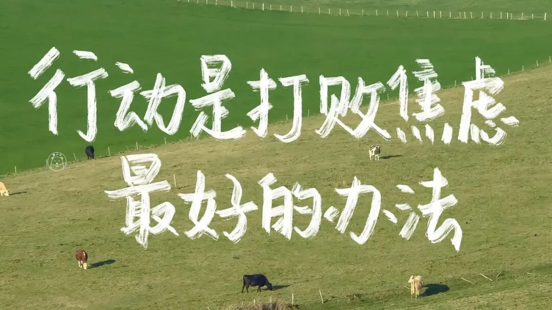 电脑壁纸｜超清8K无水印电脑桌面壁纸99张
