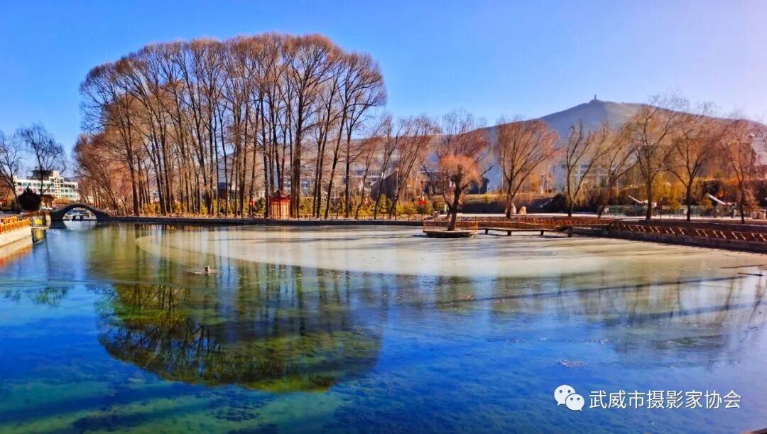 《晨曦撒满饮马湖》&nbsp;李润堂摄