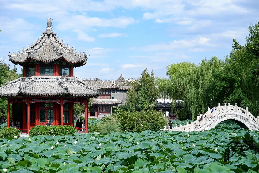 走,去保定古莲花池