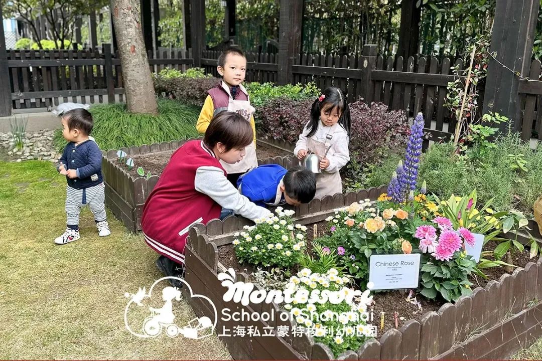 aja幼儿园