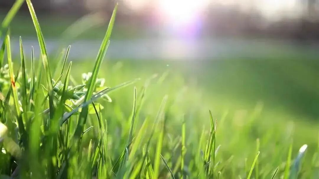 阳气不足、脾胃不好，赶紧把握机会冬病夏治