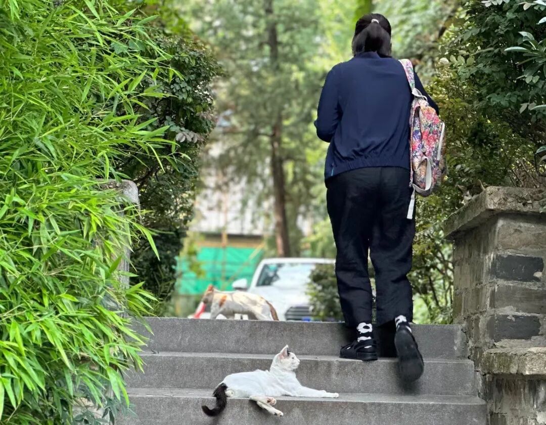 南京大学信息门户_南京大学信息中心_南京大学的信息