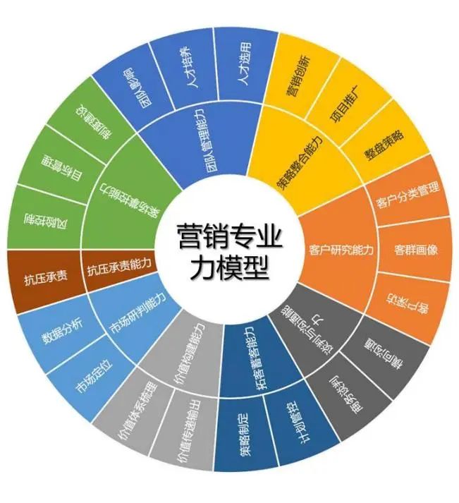 图一 营销专业力模型