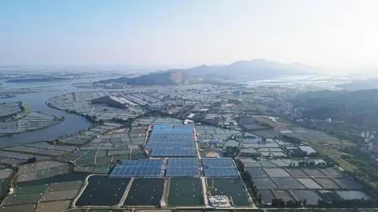 fde404d8888573031f6ab317b841de9