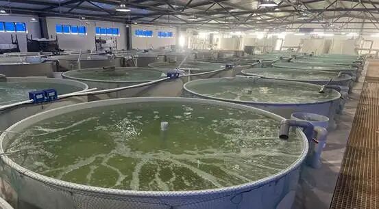 2dd861c9-b44a-4c30-9d2e-a008f71a0e57