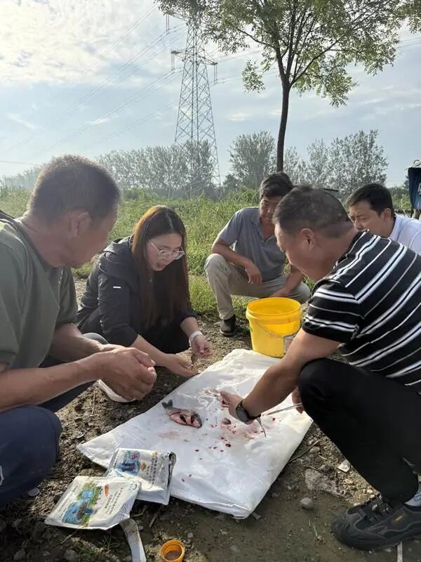 赛有渔技术服务图 高清