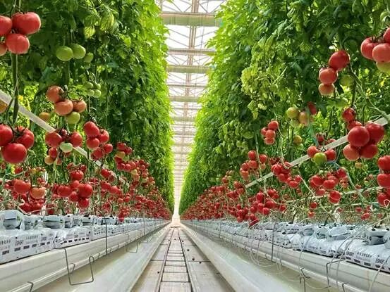 fcbf257bd99647188eb676e2d349ef9c