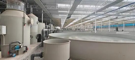 90b6741ff5190dca70548820cdf23e45