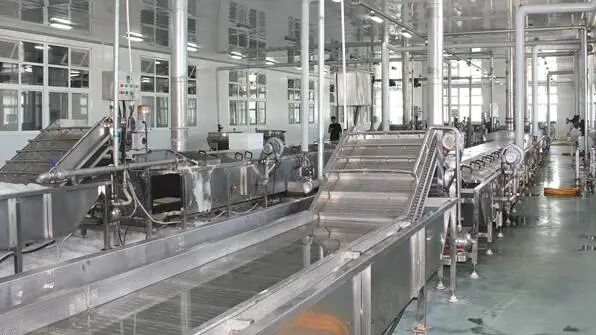 海参鲍鱼自动蒸煮流水线