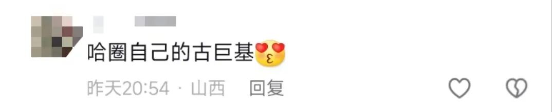 好多明星去了万妮达演唱会