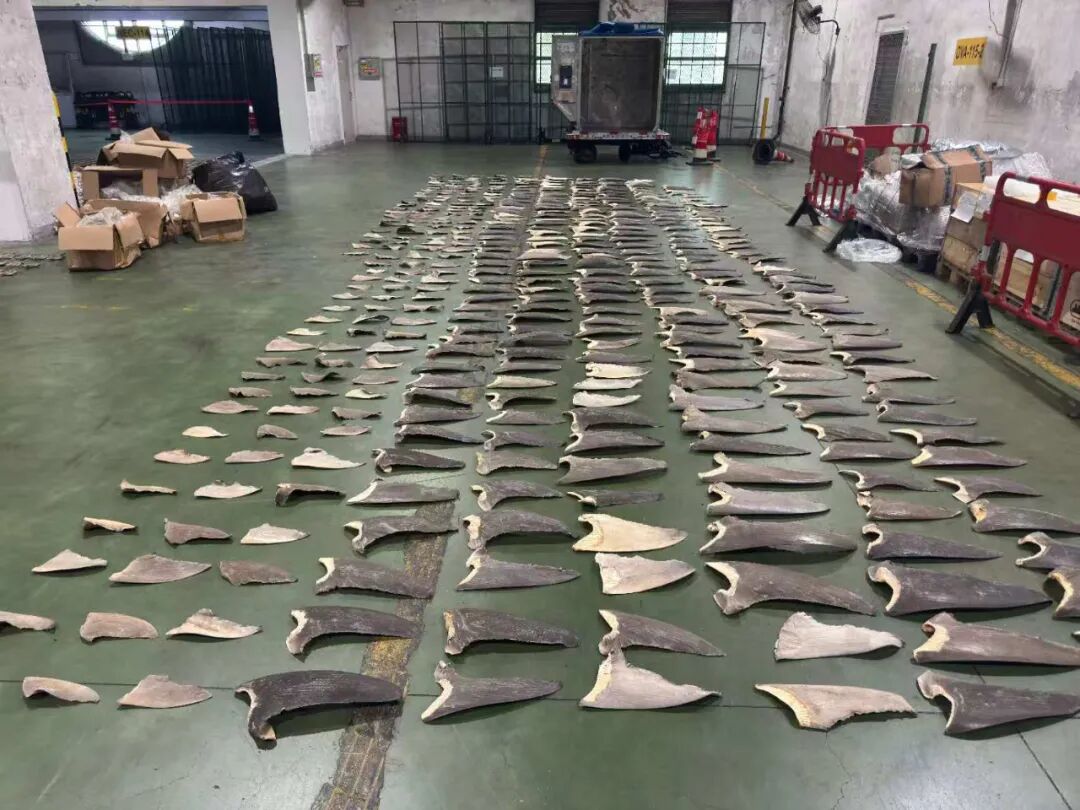 图源：“海关发布”微信公众号