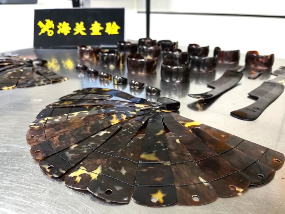  禁止进境！深圳湾海关查获濒危玳瑁制品26件