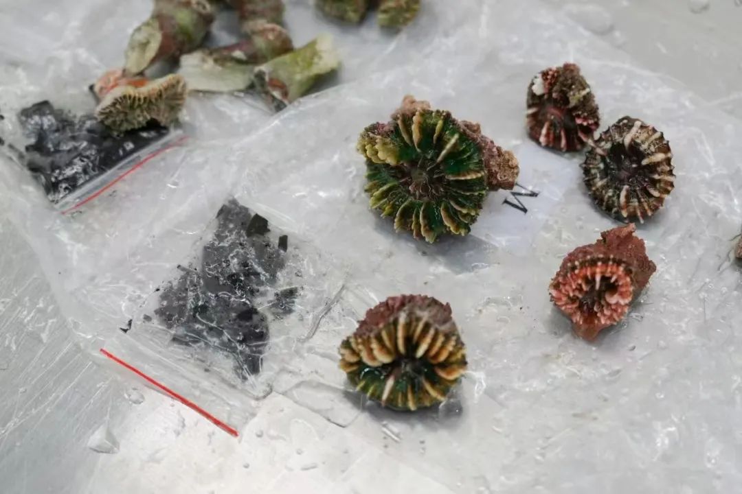 央行設立服務消費與養(yǎng)老再貸款 額度5000億元
