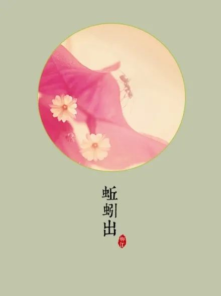栀子花是吉利花吗_栀子花为啥不吉利_栀子花的寓意和风水