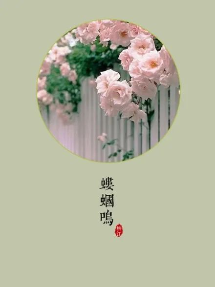 栀子花是吉利花吗_栀子花为啥不吉利_栀子花的寓意和风水