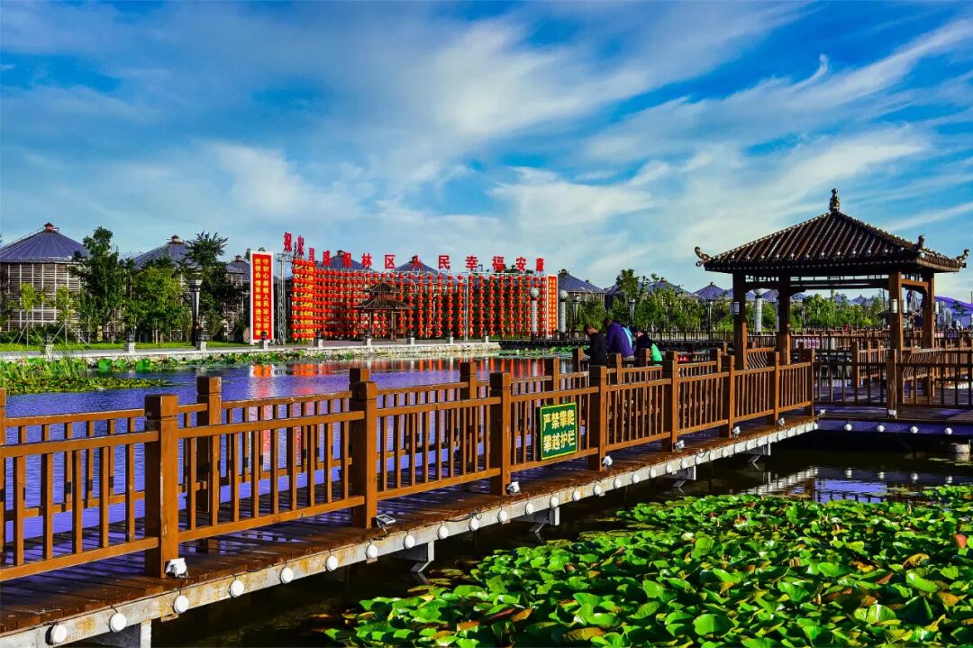 停伐十年看森工通北十年征程风正劲奋楫逐浪立潮头