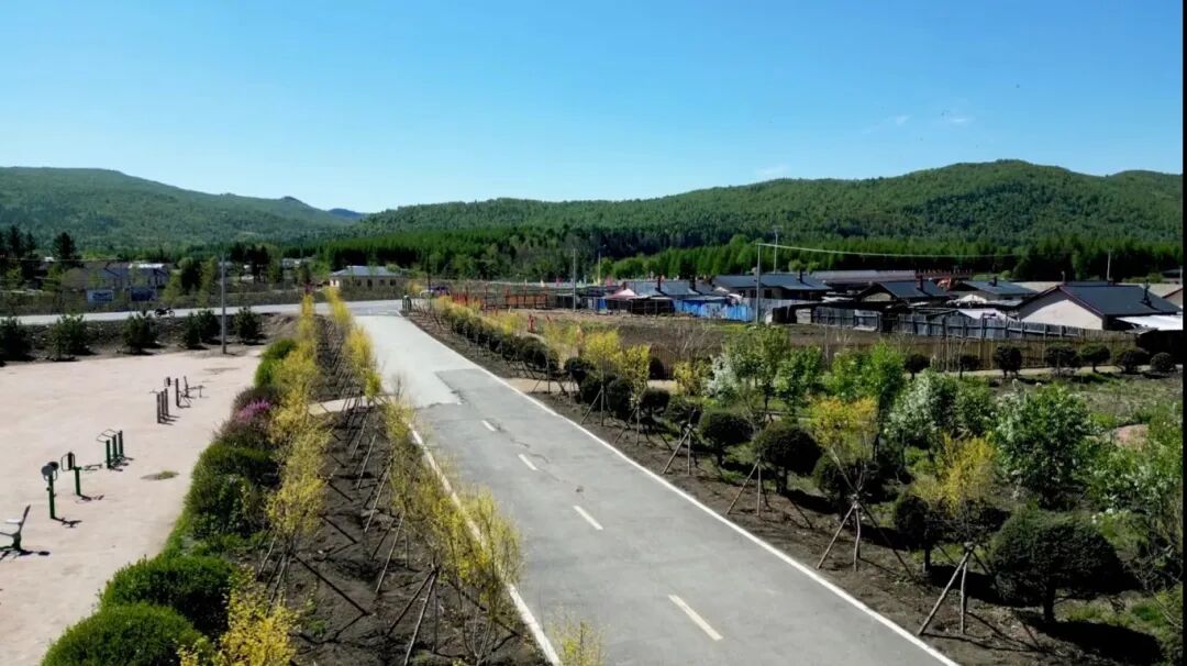 「停伐十年看森工」大海林:十年!执生态保护之笔 绘美丽林区新画卷