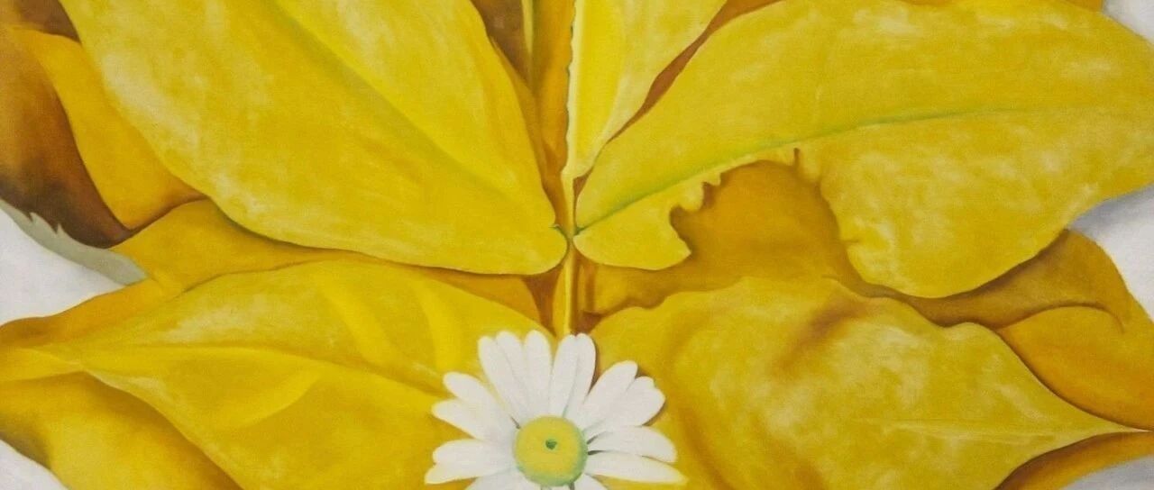 普女生娃，钱再多也不够花。