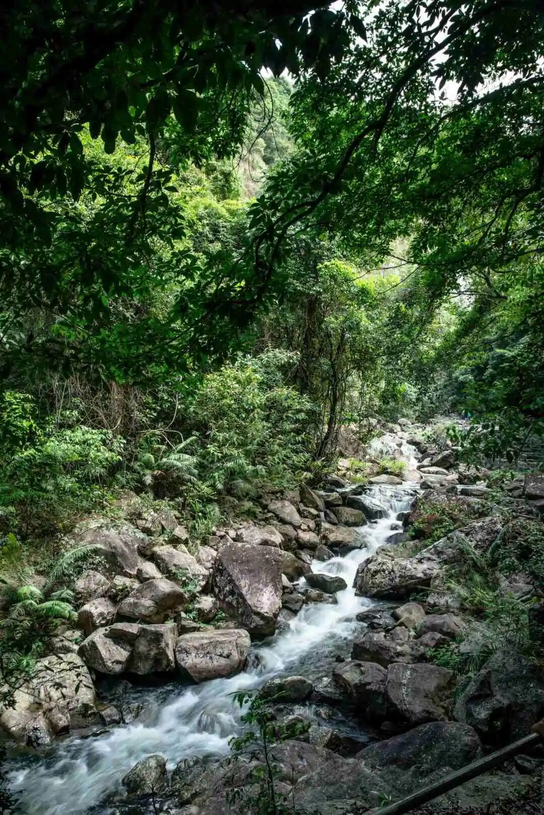 图/大写岭南、广州从化文广旅体发布