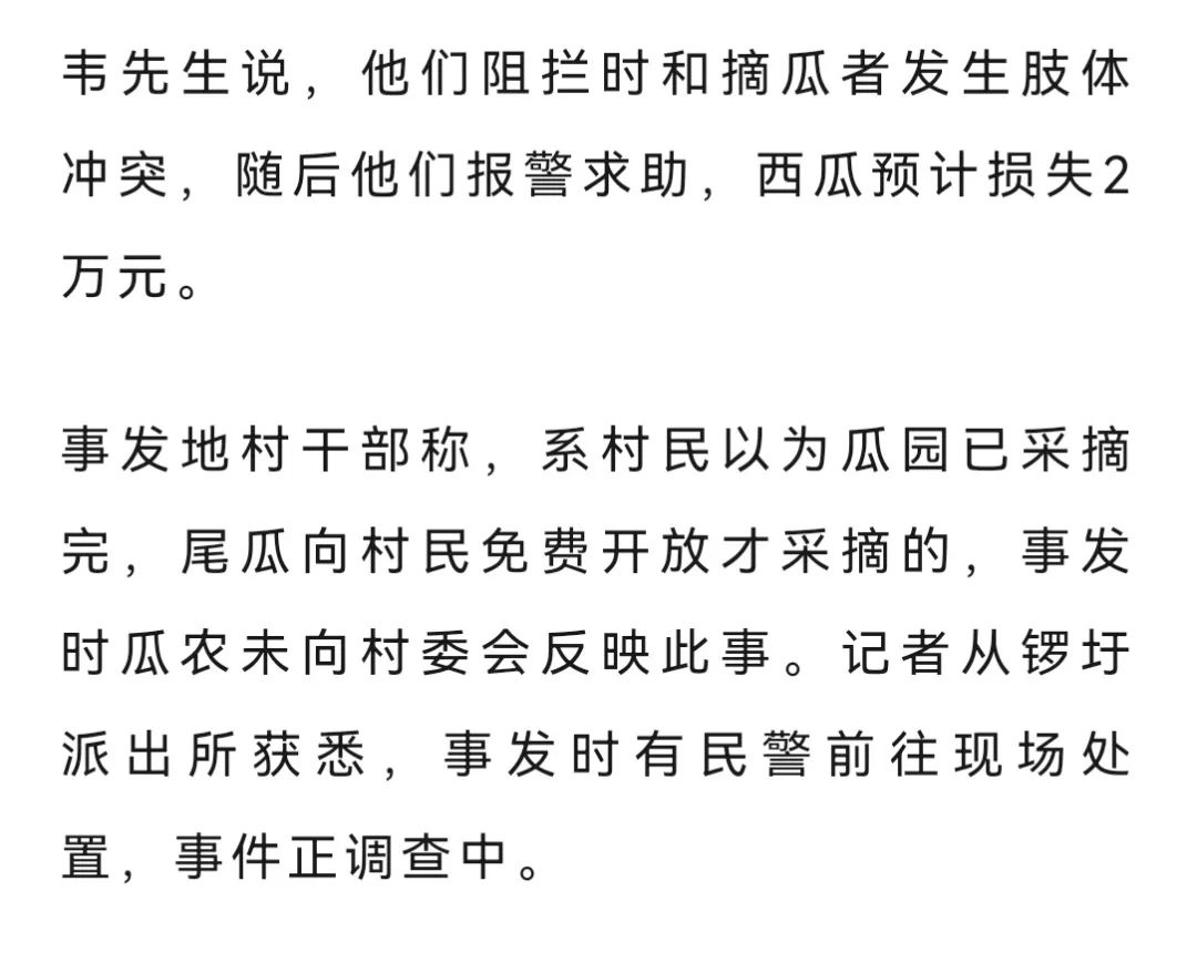 瓜园遭村民哄抢,瓜田被哄抢，瓜农哭诉：人太多，拦不住