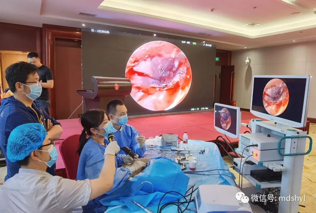 耳鼻喉治疗台怎么消毒麦迪生医疗‖耳鼻喉科相关常用高值耗材大全_https://www.jmylbn.com_新闻资讯_第60张