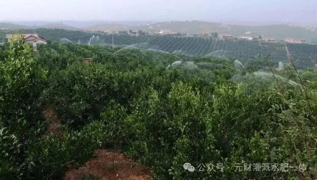 水肥一体化设备