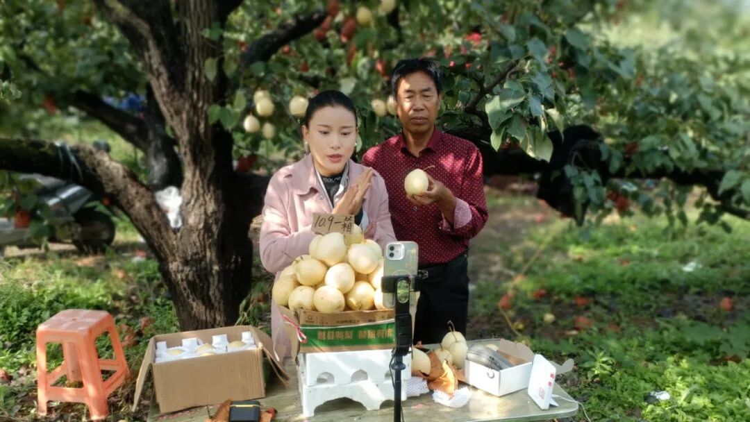 微信图片_2026-03-23_182902_786.jpg