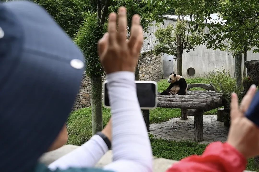 外交部回应韩国流行周五下班去中国